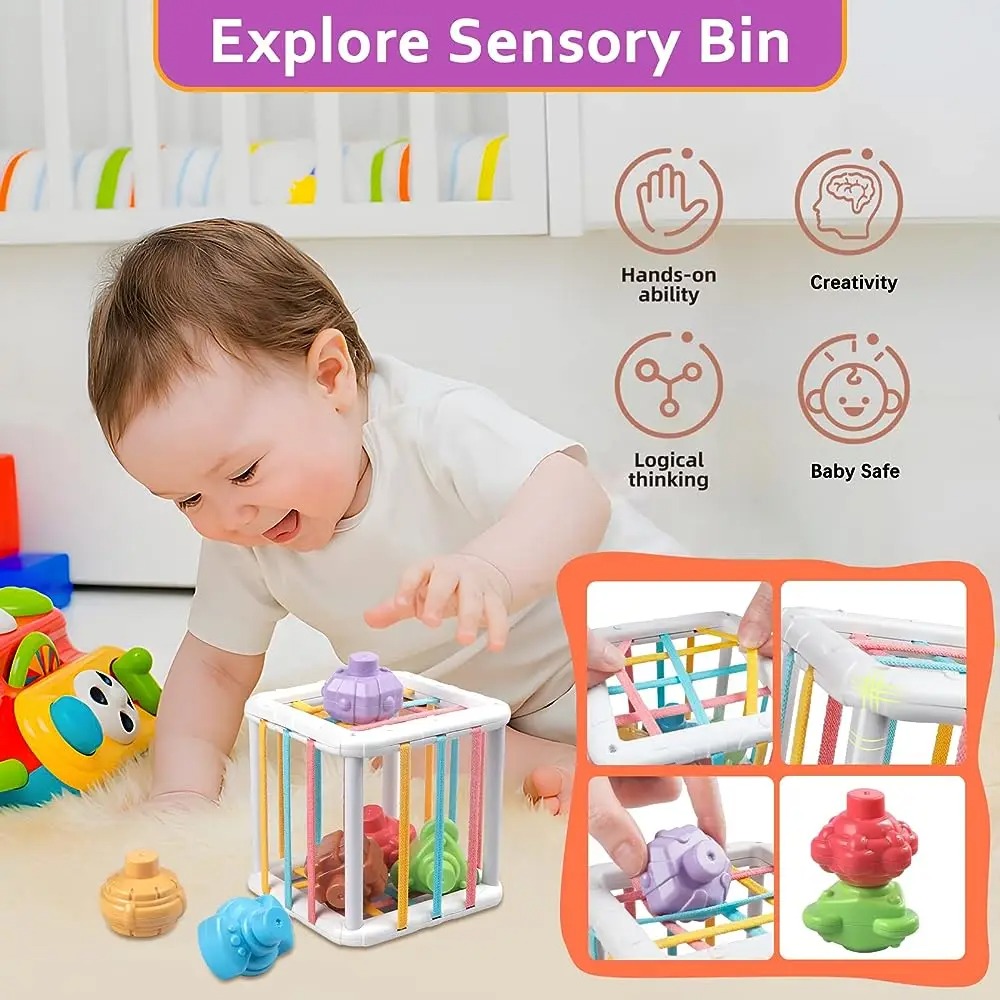 Rainbow Colorful Montessori Sh - đánh giá và giá Kids Educational Device