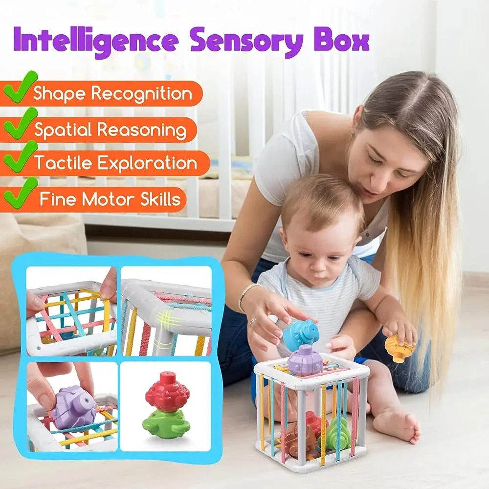 Rainbow Colorful Montessori Sh - đánh giá và giá Kids Educational Device