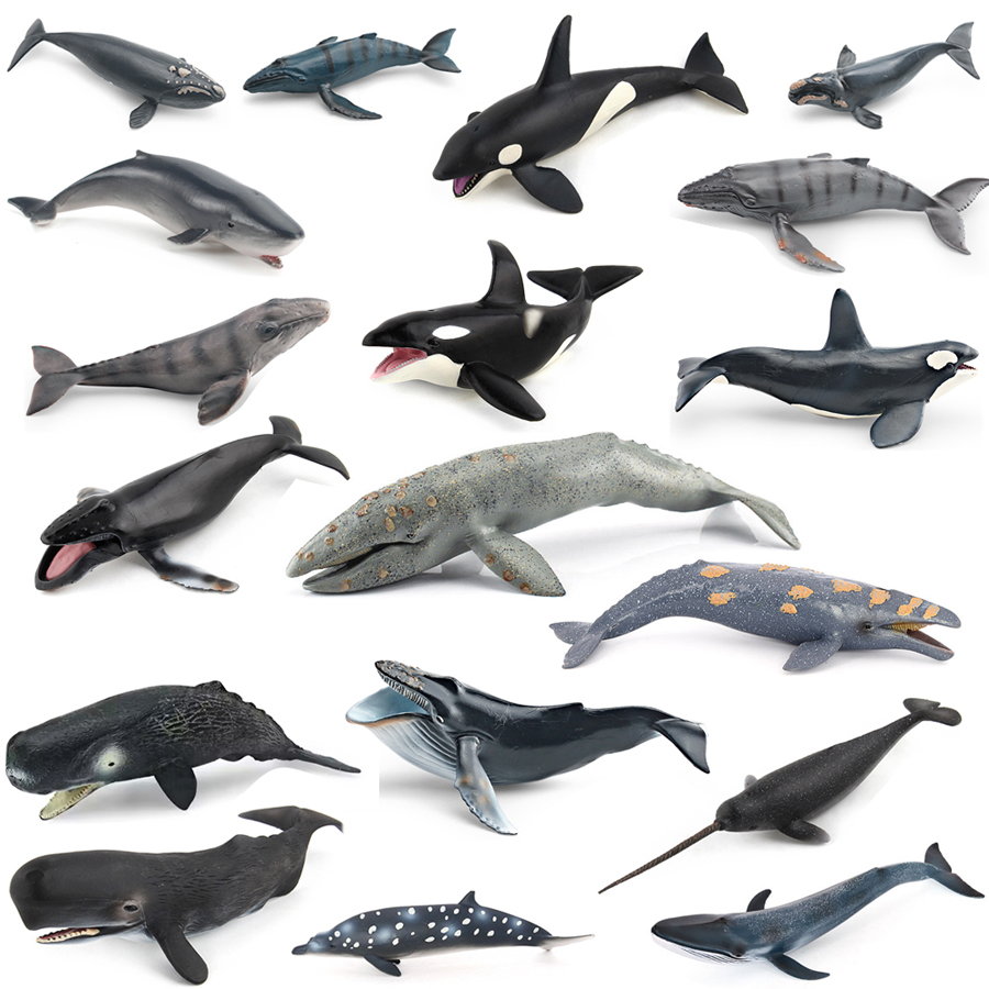 Realistic Humpback Whale Sperm - đánh giá và giá Kids Educational Device