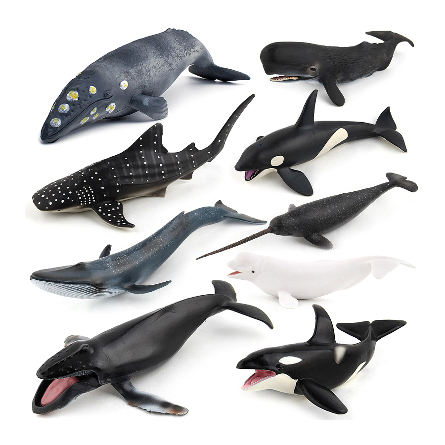 Realistic Humpback Whale Sperm - đánh giá và giá Kids Educational Device