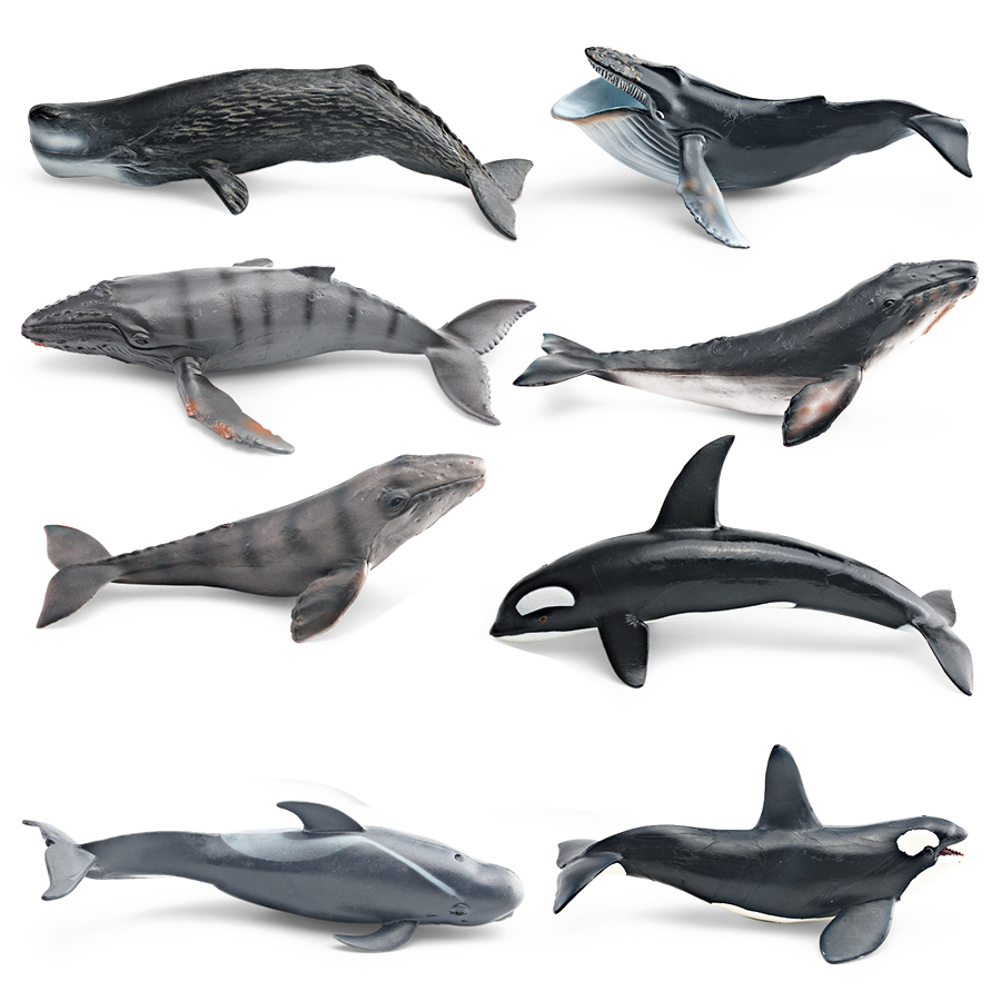 Realistic Humpback Whale Sperm - đánh giá và giá Kids Educational Device