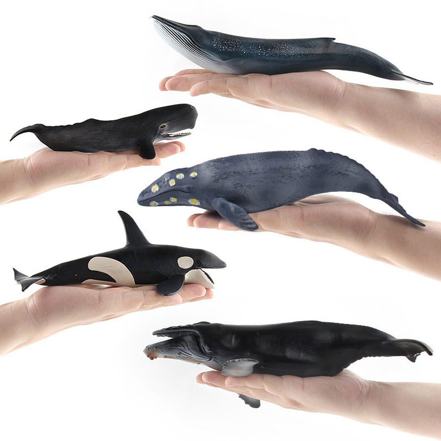 Realistic Humpback Whale Sperm - đánh giá và giá Kids Educational Device